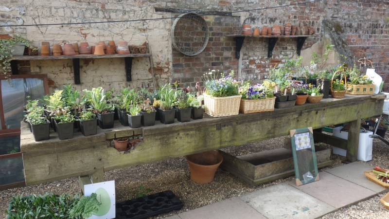 The Walled Garden, Little Plumstead